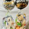 Preschool Grad Toy Truck Gift Set