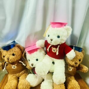 Graduation Teddy Bear