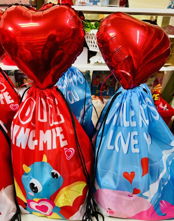 IMG_8121 Valentine Snack Backpack for Children
