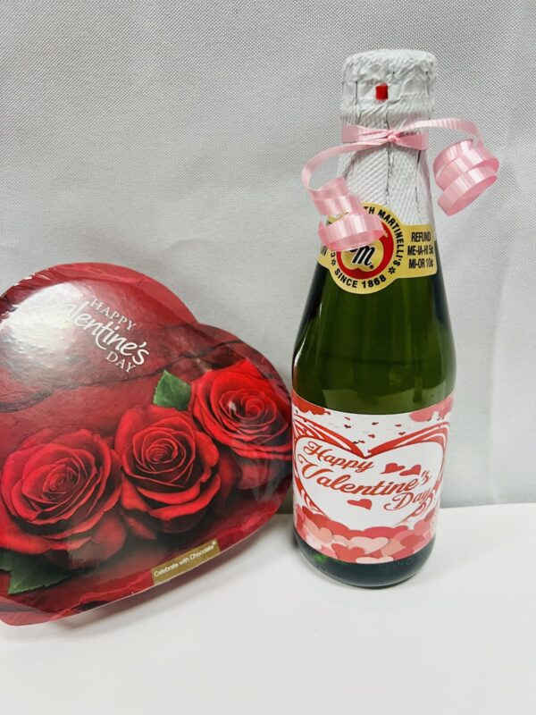 MINI CIDER & CHOCOLATE Gift Package Cider, Wine, Chocolate and Teddy Bear Mixed Packages