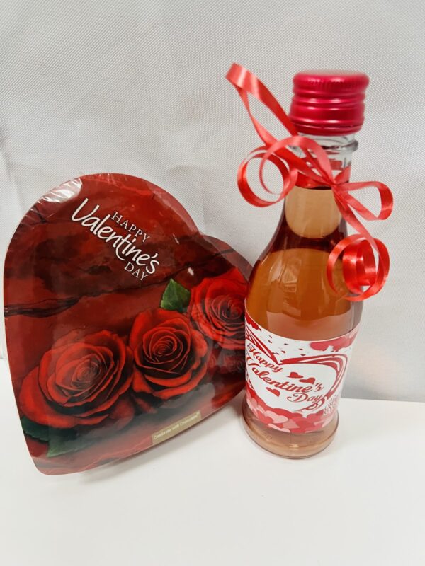 MINI WINE & CHOCOLATE Gift PACKAGE Cider, Wine, Chocolate and Teddy Bear Mixed Packages