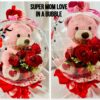 Super Mom Love in a Bubble
